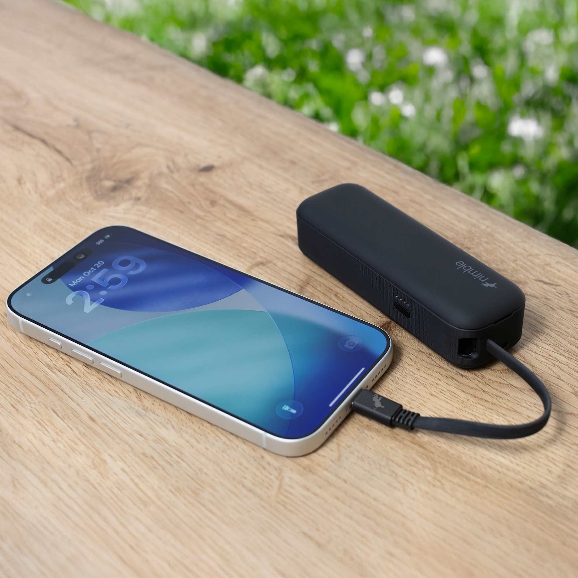 Wally Pro 20 5000 mAh Powerbank and Wall Charger