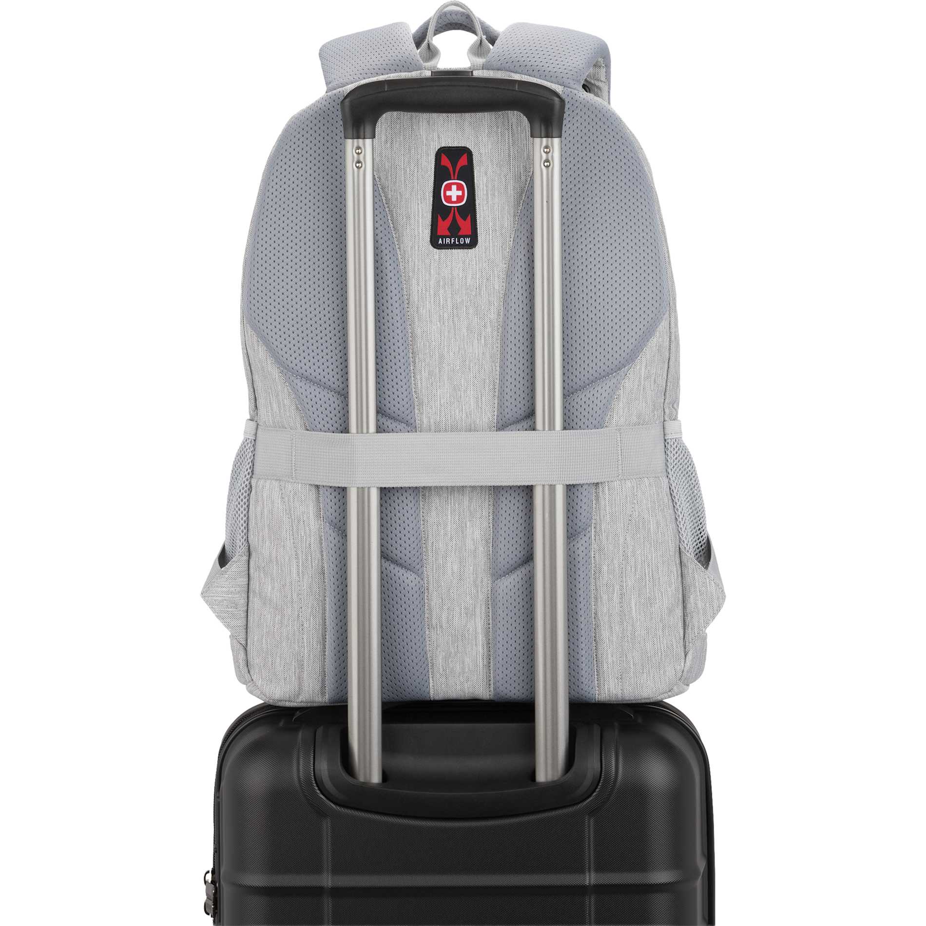 Swiss Gear Frost Peak Computer Backpack