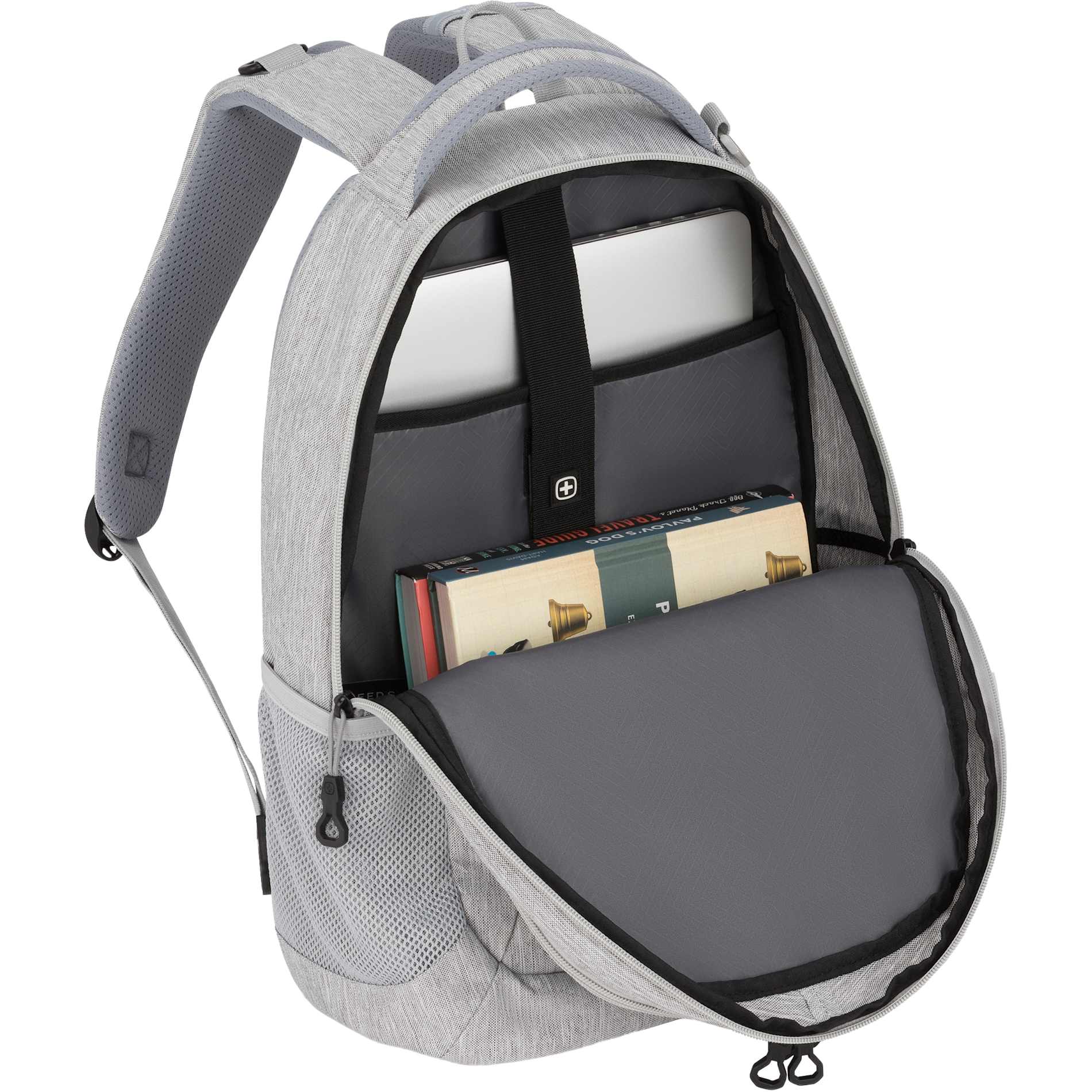Swiss Gear Frost Peak Computer Backpack