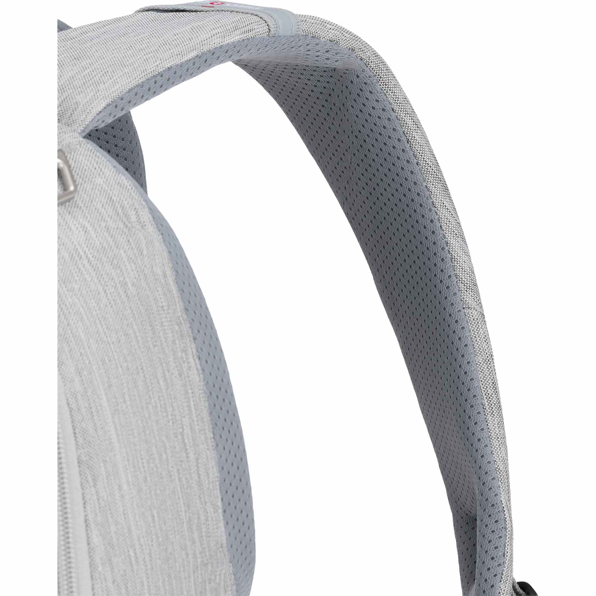 Swiss Gear Frost Peak Computer Backpack