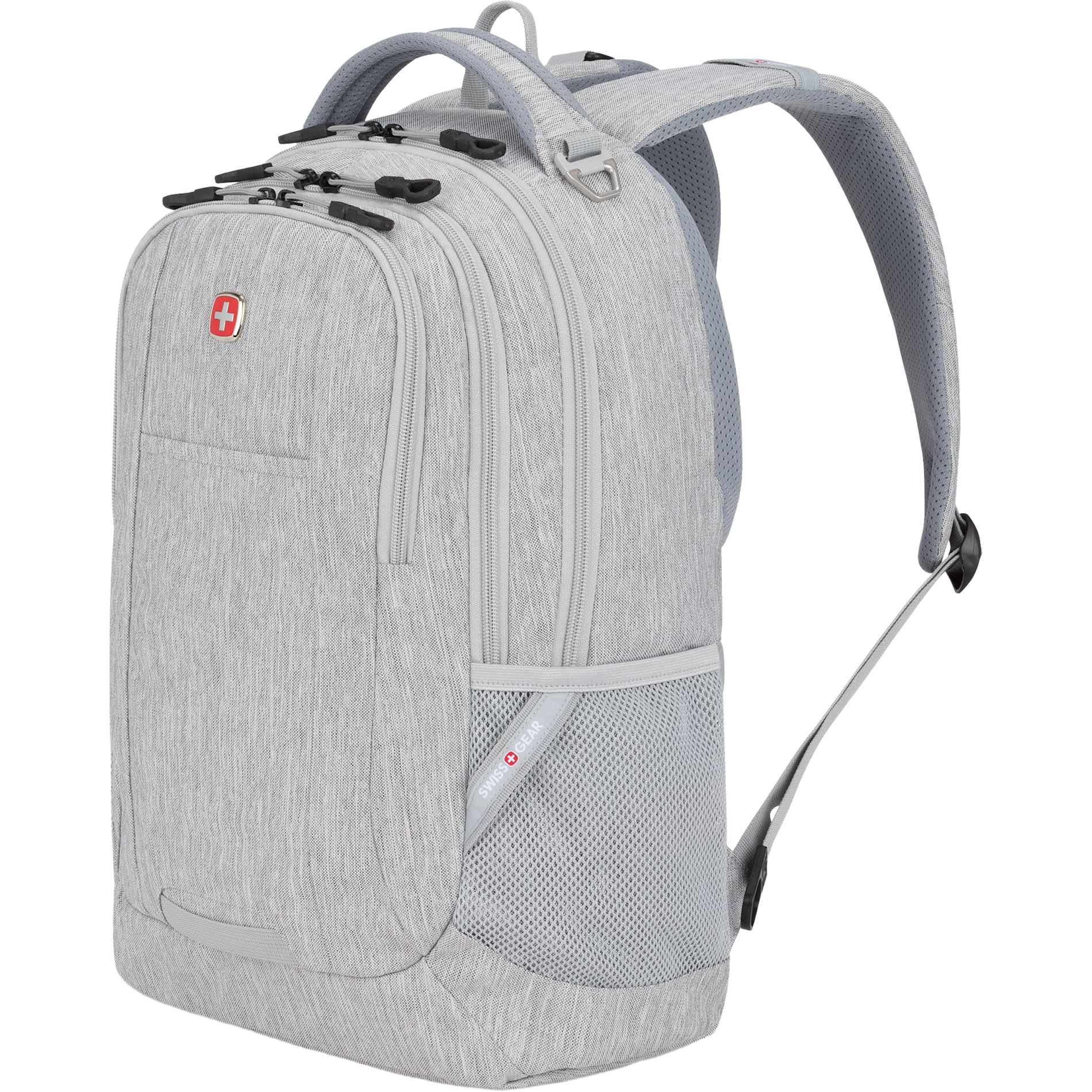Swiss Gear Frost Peak Computer Backpack