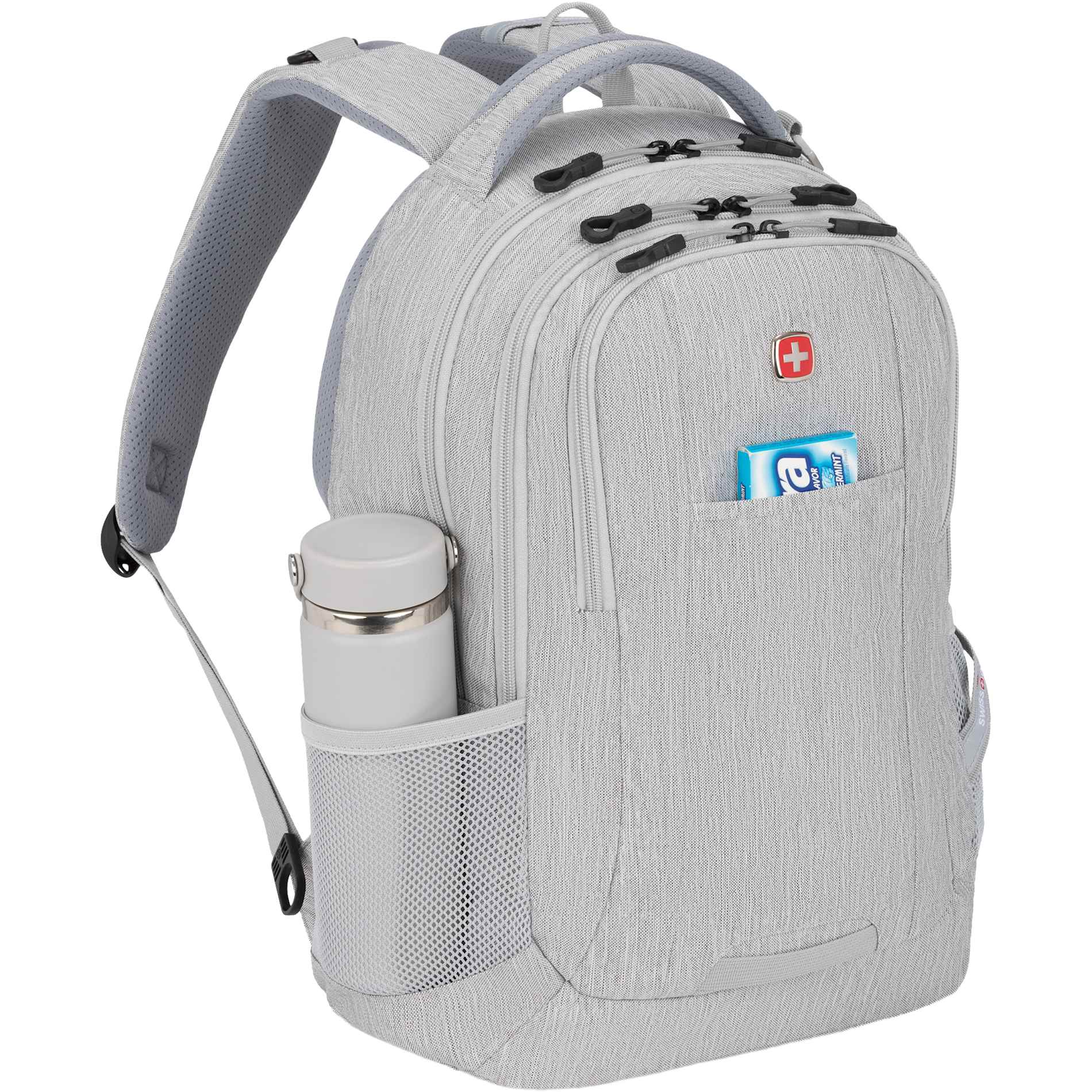 Swiss Gear Frost Peak Computer Backpack